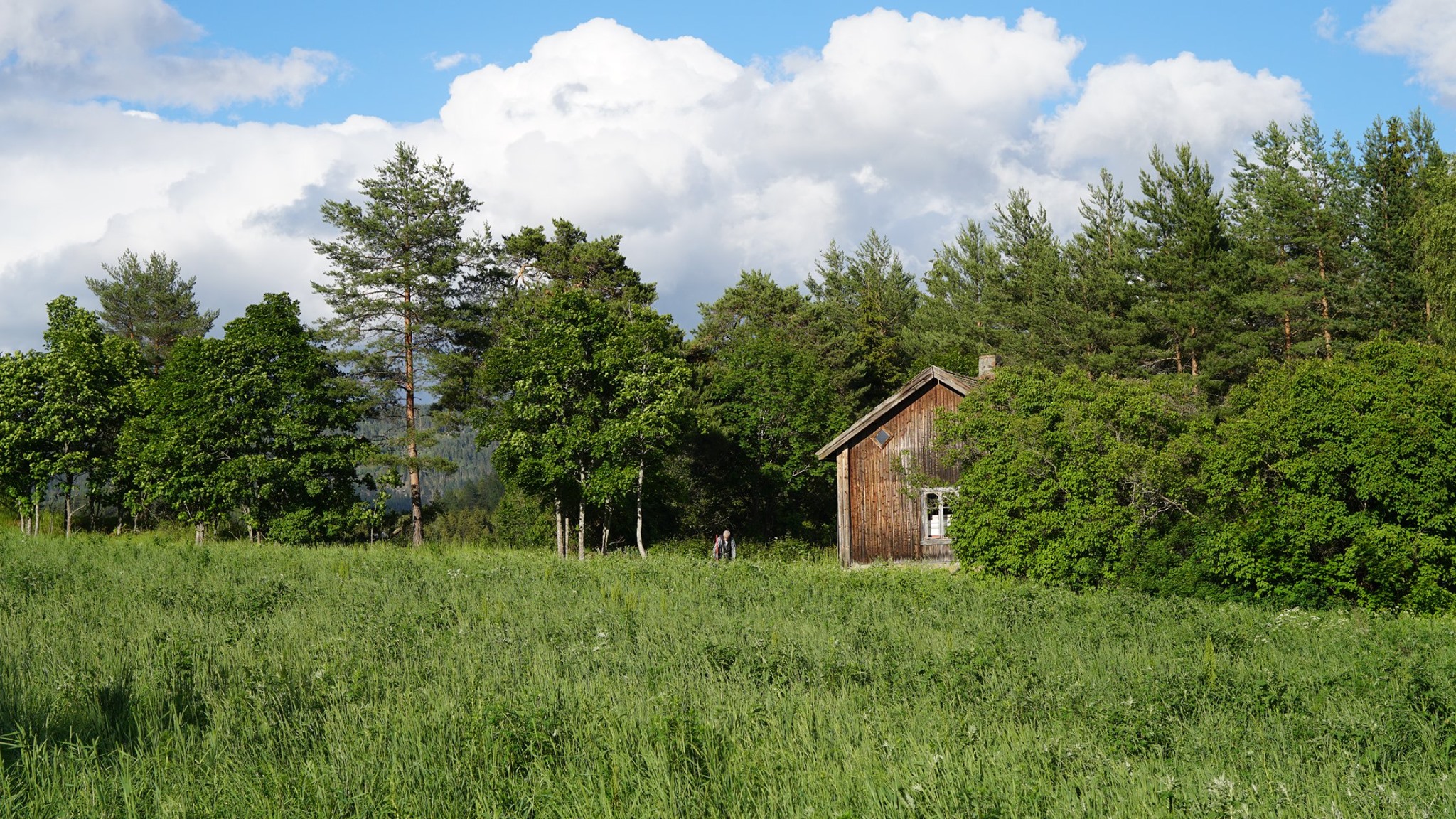 Nedre Aasen, kulturlandskap med gammel tømmerbygning omkranset av skog